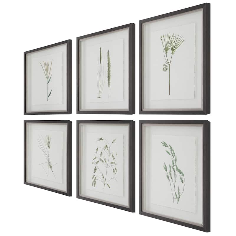 Uttermost Forest Finds Framed Prints, S/6 - 18 W x 22 H x 1.75 D (inches)
