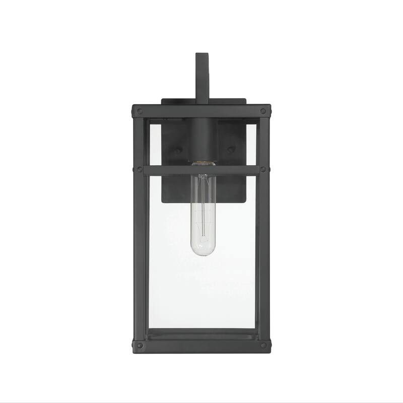 Blake Metal and Clear Glass Paneled Wall Mounted Outdoor Light - 8.5"L x 6.5"W x 14.4"H