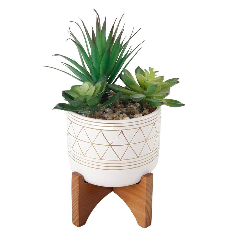 Artificial Plant Succulent IN GOLD HANDPIANT 5" CERAMIC FOOTED STAND - ONE-SIZE