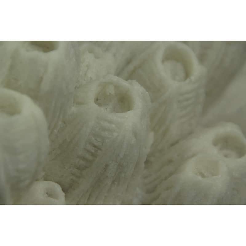 White Faux Tube Coral Decorative Coastal Art Accent Lamp - 8 X 9.75 X 8.5 inches