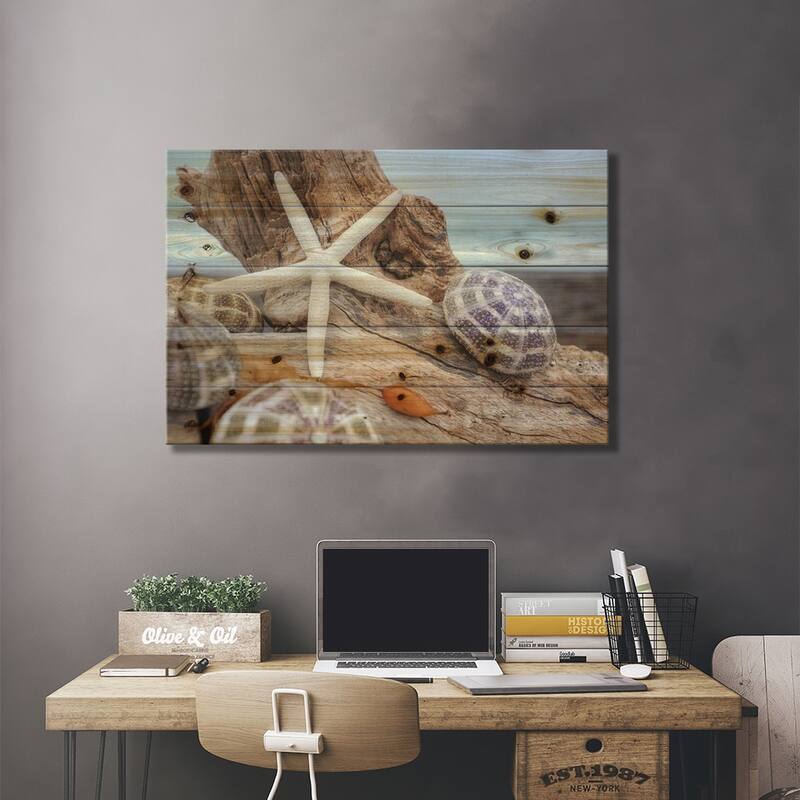 Crescent Beach Shells VII Print On Wood by Alan Blaustein - Multi-Color