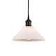 Option Oil Rubbed Bronze / Matte White