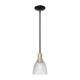 Option Clear / Black Antique Brass