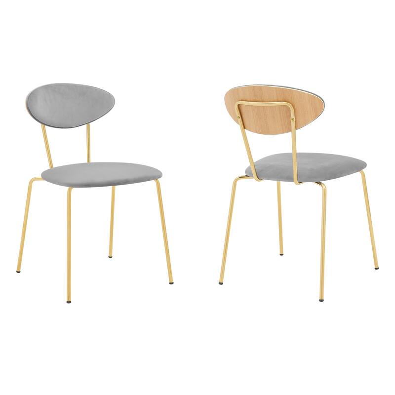 Neo Retro Gray Velvet and Gold Metal Dining Side Chairs - Set of 2