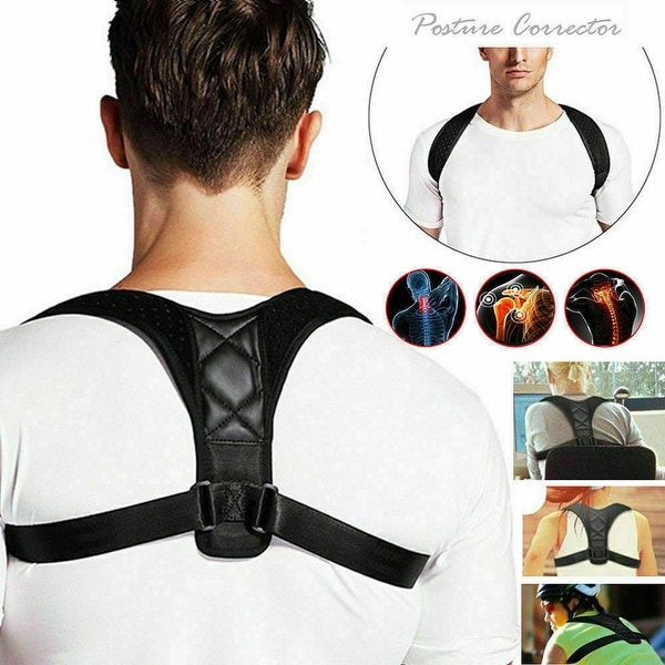 Humpback 2025 correction belt
