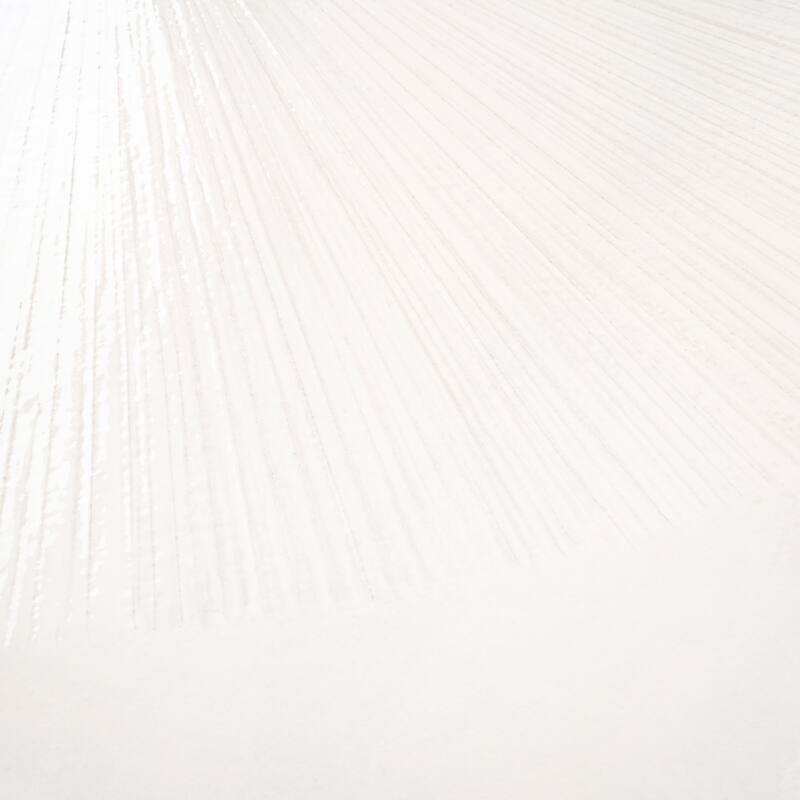 Imprint 36x36 White Porcelain Large Format Square Dandelion Wall and Floor Tile (17.67 sq ft/case) - 2 Pack
