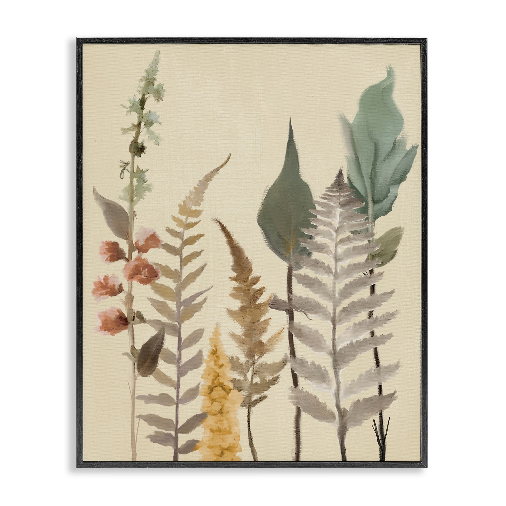 Stupell Fall Botanicals Forest Ferns Framed Giclee Art Design By Elizabeth Medley