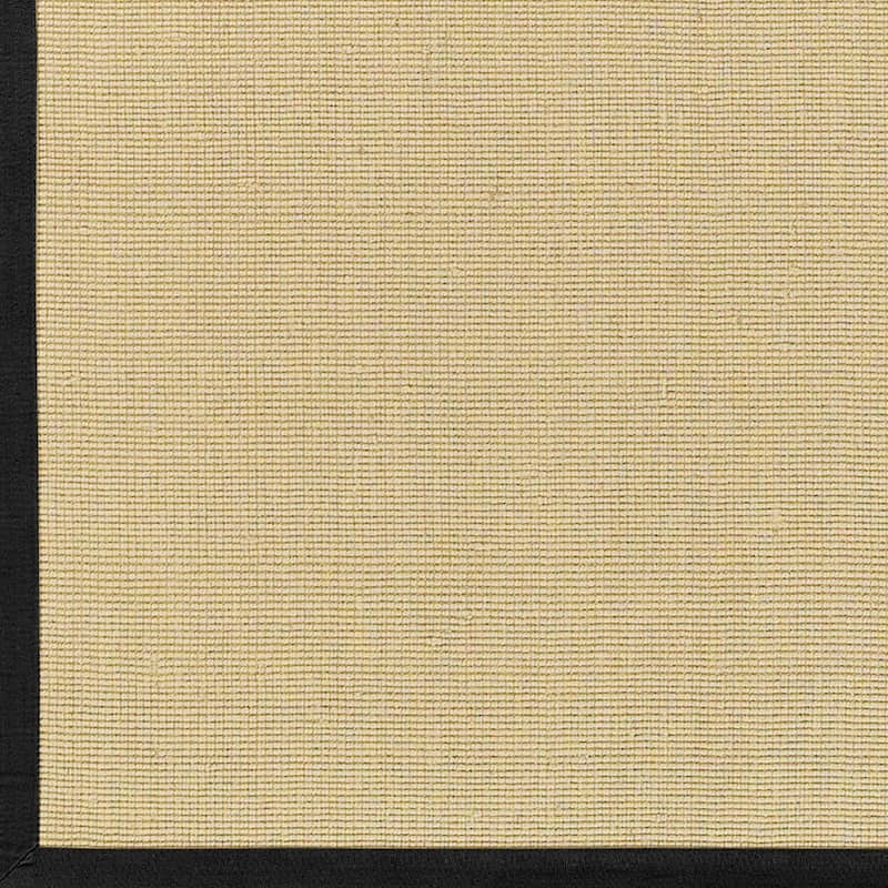 Handwoven Eco Natural Fiber Jute Cotton Bordered Casual Area Rug