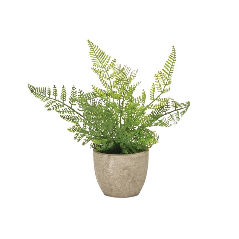 Potted Fern Plant (Set of 3) - 11 x 3.5 x 9.5