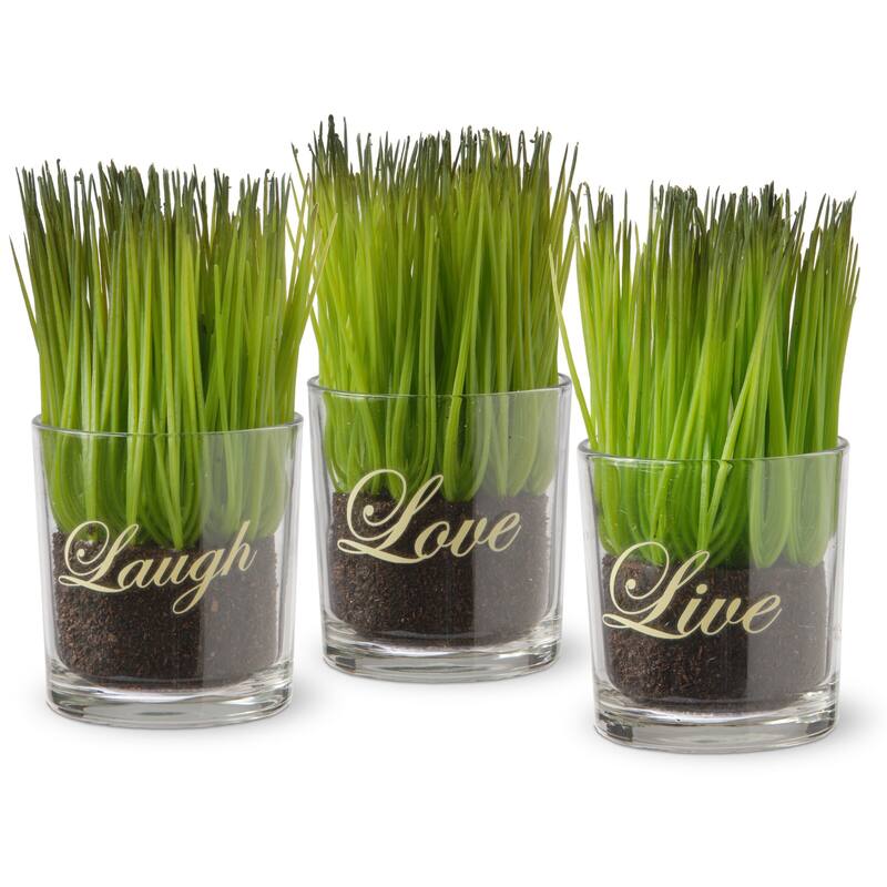 National Tree Company Copper Grove Machmell Printed 'Live, Laugh, Love' Glass Pots with Artificial Grass (Set of 3) - Green