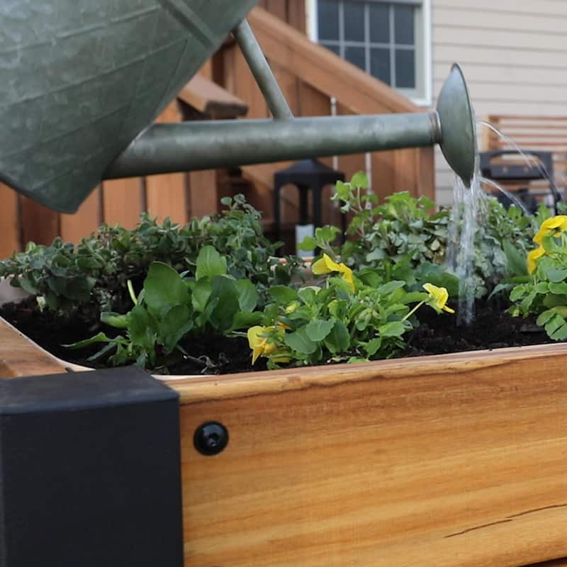 Backyard Discovery 48" Teak Wood Raised Garden Bed Planter Box - 3'8" x 2'0"
