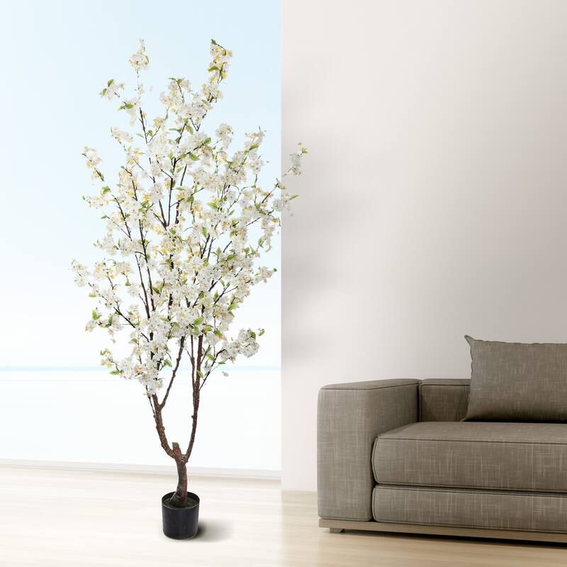 Potted Cherry Blossom Tree 6.5'