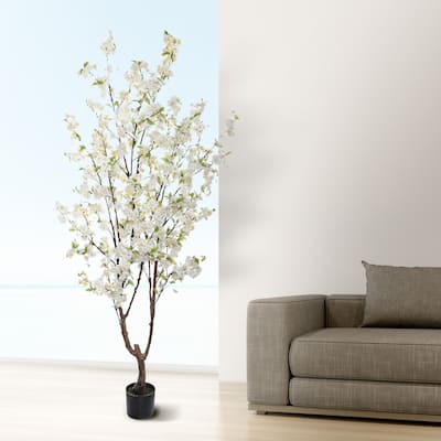 Potted Cherry Blossom Tree 6.5'