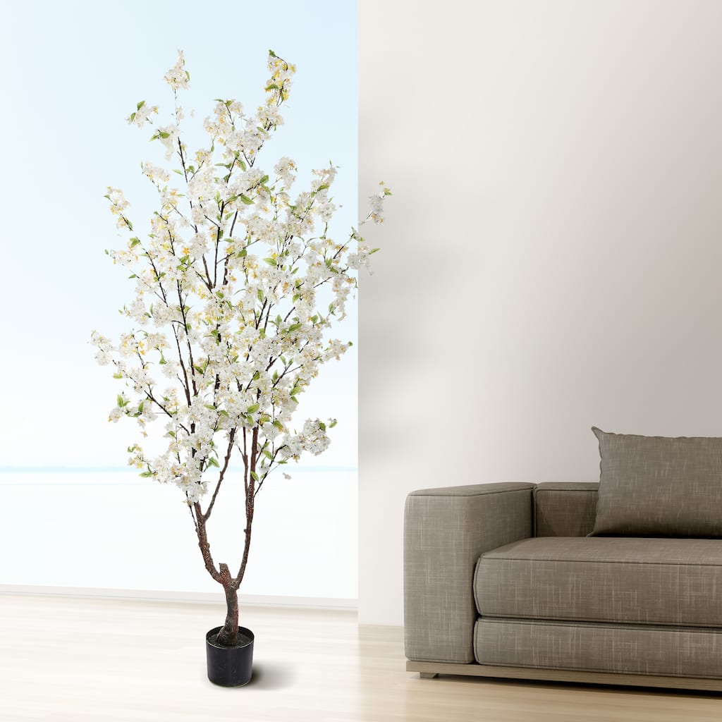 Potted Cherry Blossom Tree 6.5'