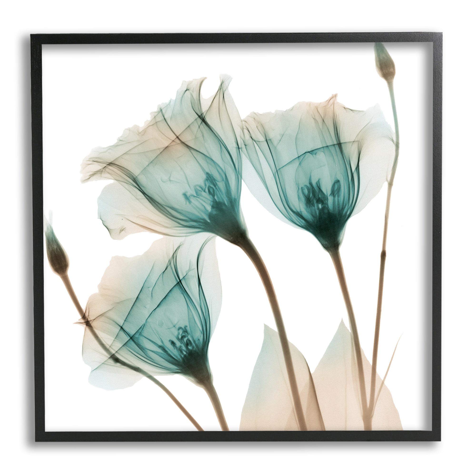 Stupell Spring Tulip Florals Translucent Plant Photography Framed