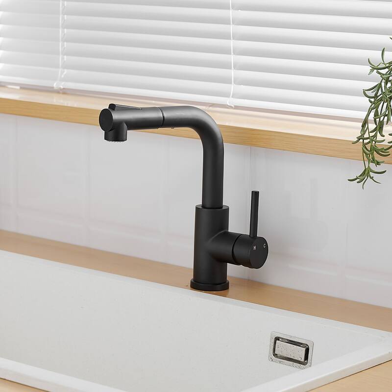 Kitchen Faucet with Pull Down Sprayer