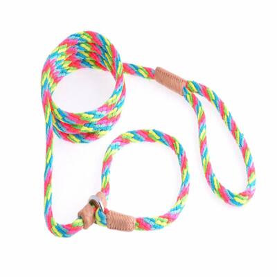 Alvalley Nylon Slip Leash With 2 Stoppers
