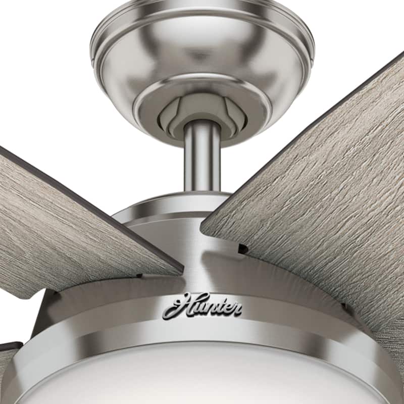 Hunter 52" Avia Ceiling Fan with LED Light and Handheld Remote