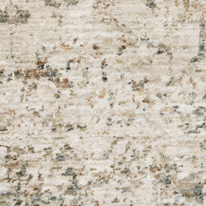 Amira Distressed Traditional Beige/ Grey Area Rug