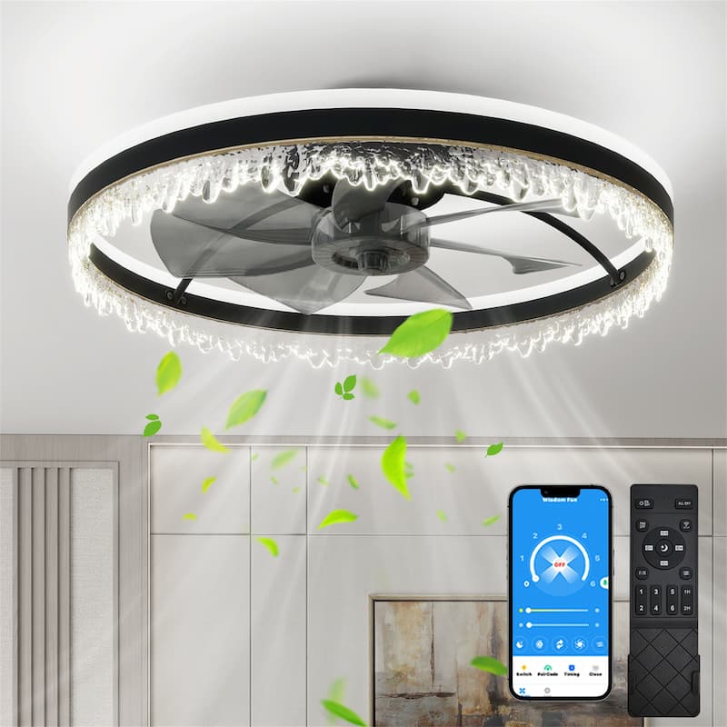 24" Modern LED Ceiling Fan with Light - Black