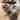 RusticReach Calligraphy Brush Holder Rollup Wood Shades Rollup