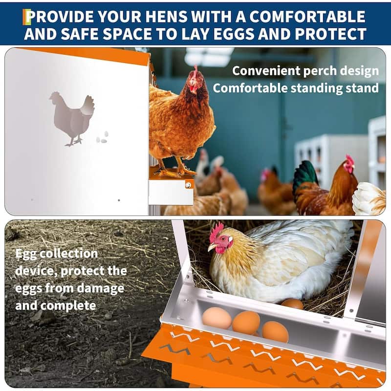6 Compartment Metal Chicken Nesting Box, Laying Box for Hens Ducks Rabbits, Orange