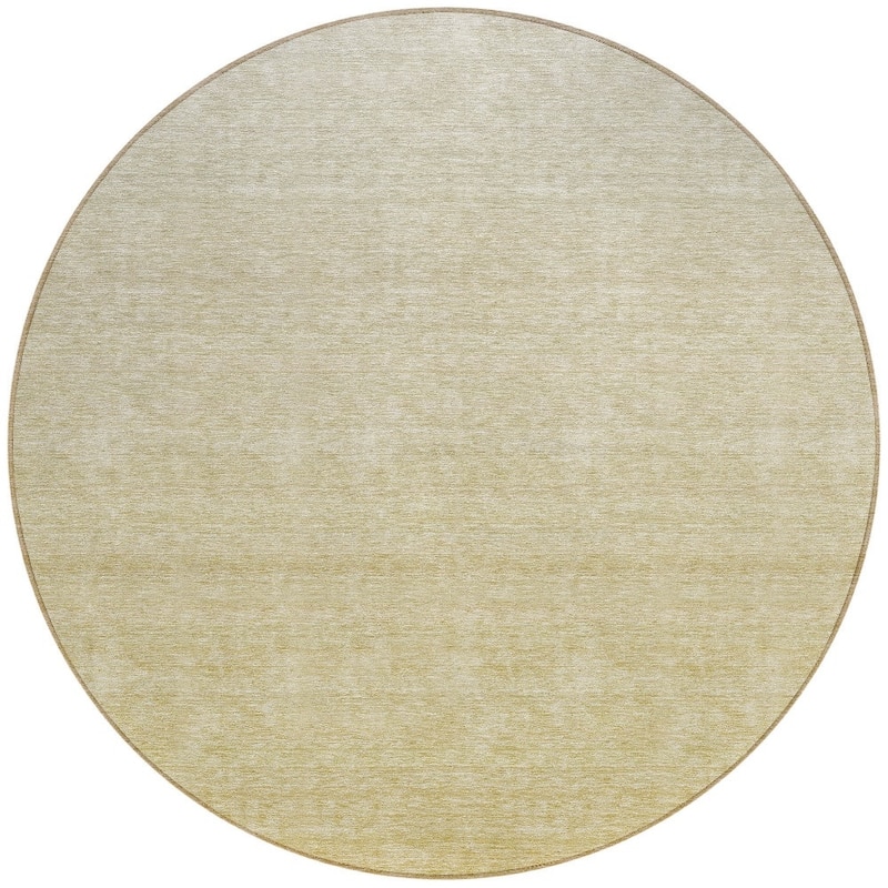 HomeRoots Ombre Transitional Rectangle Outdoor Rug