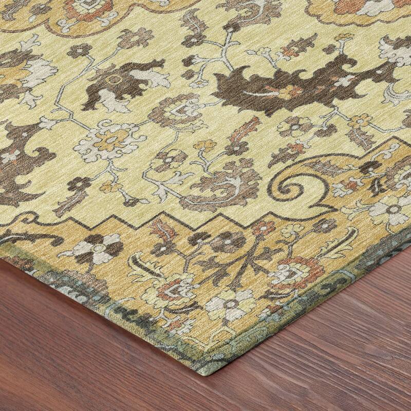 Machine Washable Indoor/ Outdoor Traditional Indore Chantille Rug