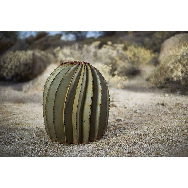 Fishhook Barrel Cactus Landscape Sculpture - Bed Bath & Beyond - 32886494