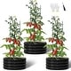 preview thumbnail 14 of 17, Galvanized Raised Garden Bed with Tomato Cages, Metal Planter Box