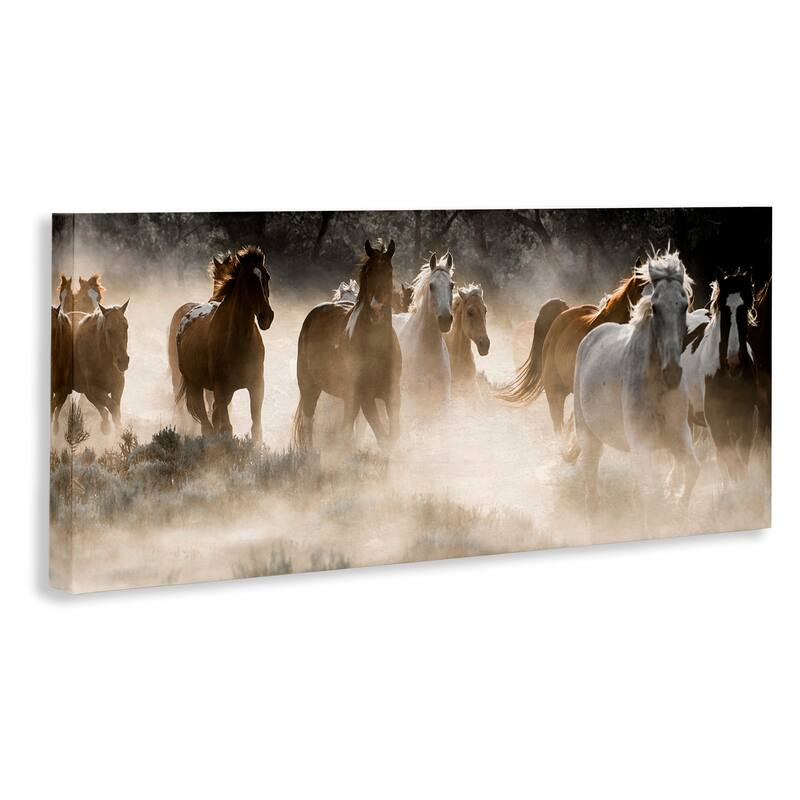 Stupell Striking Horse Herd Galloping Rural Wildlife Photography Canvas Wall Art, Design by Danita Delimont