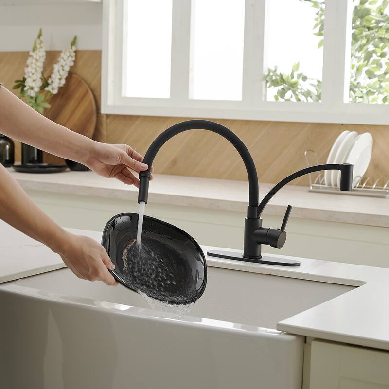 WIZ Single-Handle Pull-Down Sprayer 1 Spray High Arc Kitchen Faucet