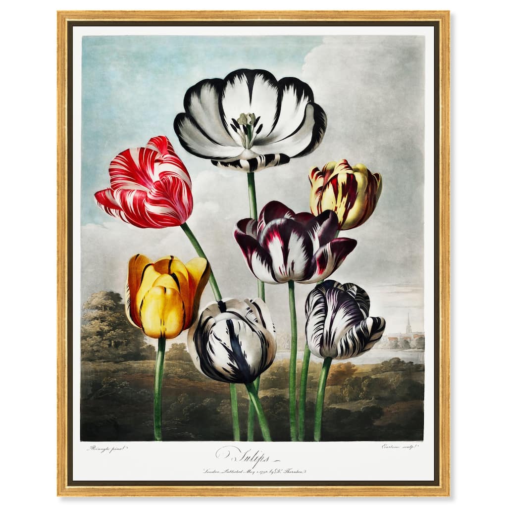 Tulips 1807 Canvas by Art Remedy