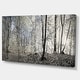 preview thumbnail 8 of 15, Designart "Dark Morning in Forest Panorama" Large Canvas Art Print - Multi-color