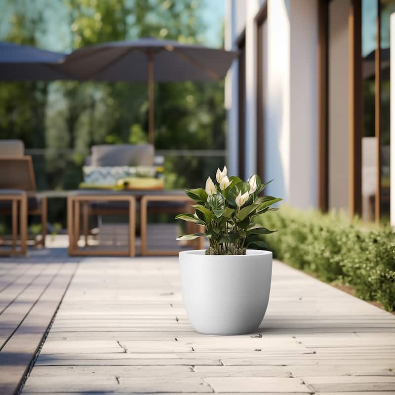 Tall Concrete Round Plant Pots / Large Indoor and Outdoor flower Planters