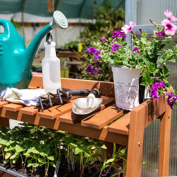 Sunnydaze Meranti Wood Garden Shelf with Teak Oil Finish - 36