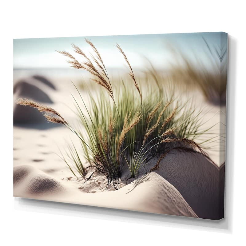 Designart 'Grass On Sand Dunes II' Beach Canvas Wall Art