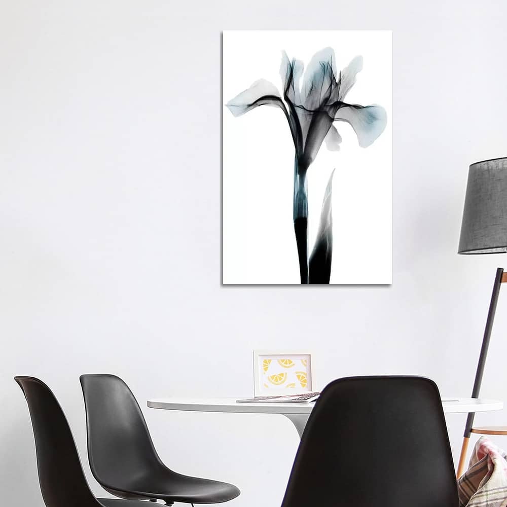 iCanvas "Ombre Sea Salt Iris" by Albert Koetsier Canvas Print
