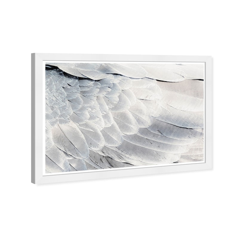 Wynwood Studio Prints Animals Dove Back White and Modern & Contemporary Wall Art Canvas Print