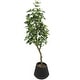 preview thumbnail 3 of 3, Green Faux Foliage Eucalyptus Artificial Tree with Realistic Leaves and Black Porcelain Pot