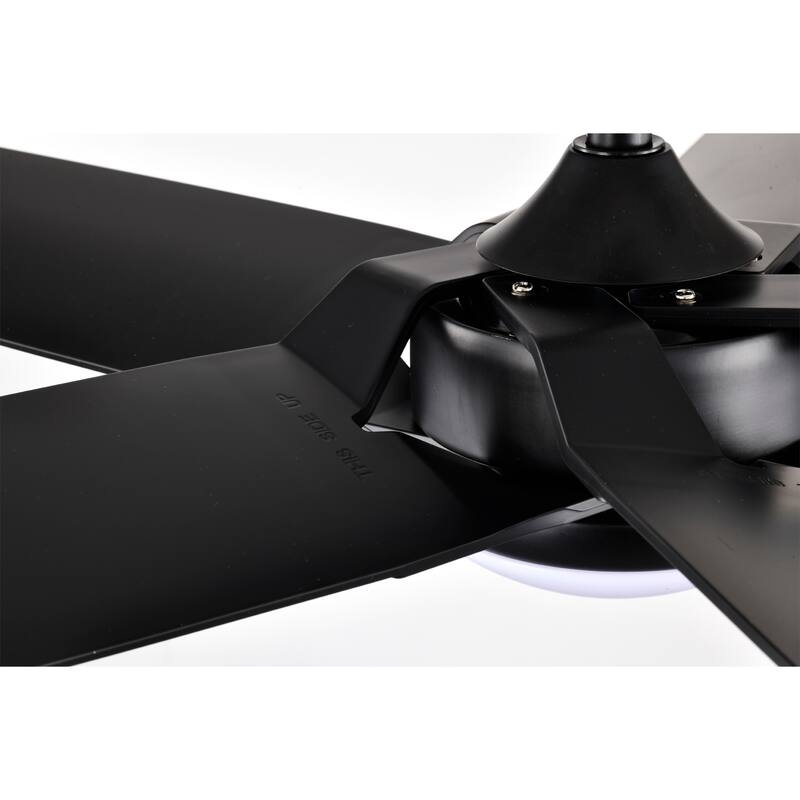 Angus 5-Blade Lighted Ceiling Fan with LED Lamp with Remote