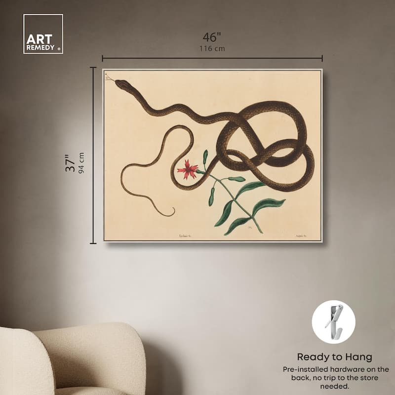 The Coach Whip Snake 1743 Canvas by Art Remedy