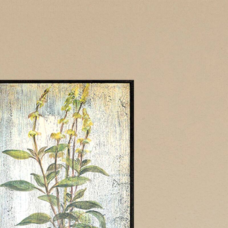 Herbs S/4 Framed Art Giclee - No Glass - Green