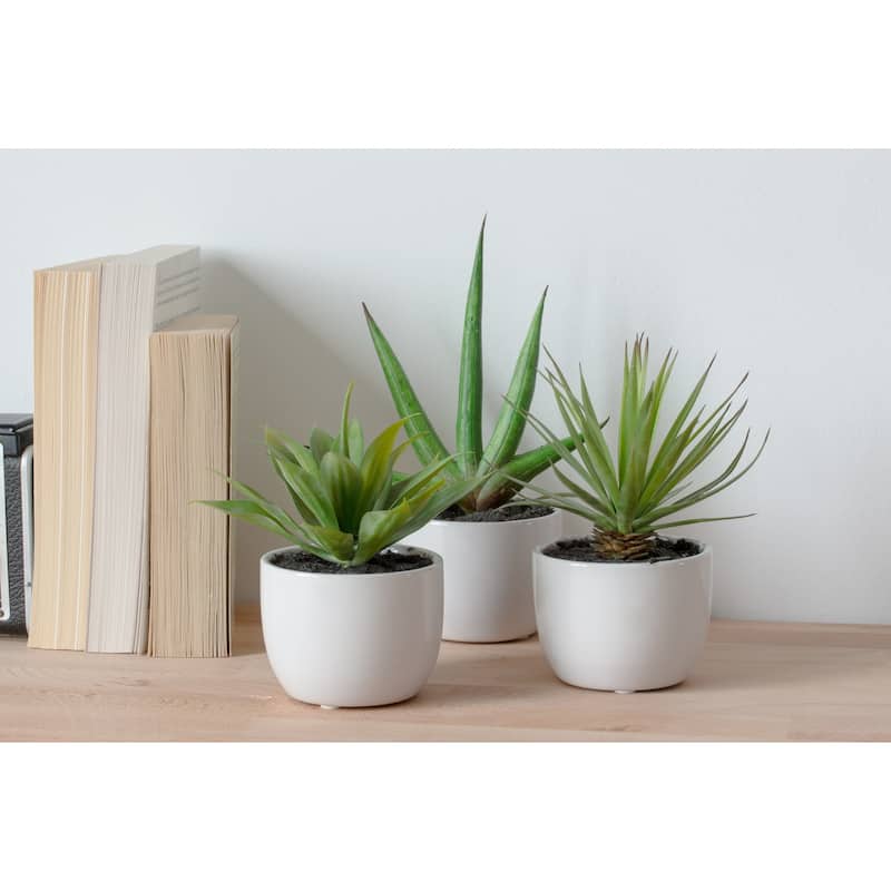 Decorative Agave Plant Set of 3 Modern Home Decor Living Room, Office, Tabletop Plants - 0.71ft.