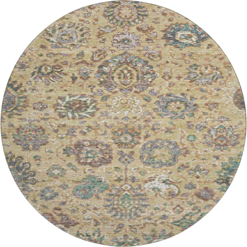 Premium Washable Super Soft Traditional Global Mayfield Rug