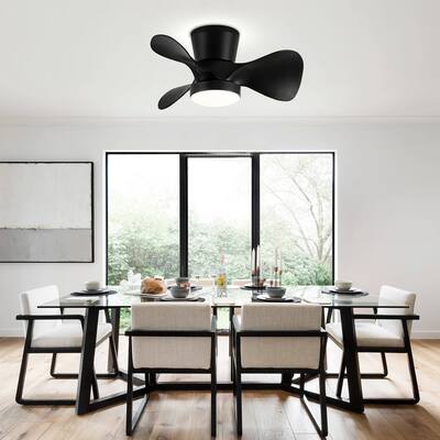 22 Inch Flush Mount LED Ceiling Fan with Lights Remote(3-Blade)