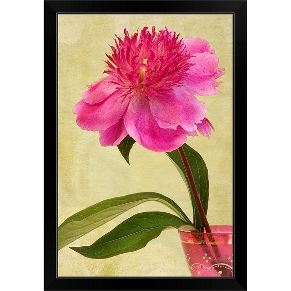 "Pink Peony flower in an antique, pink, glass vase." Black Framed Print