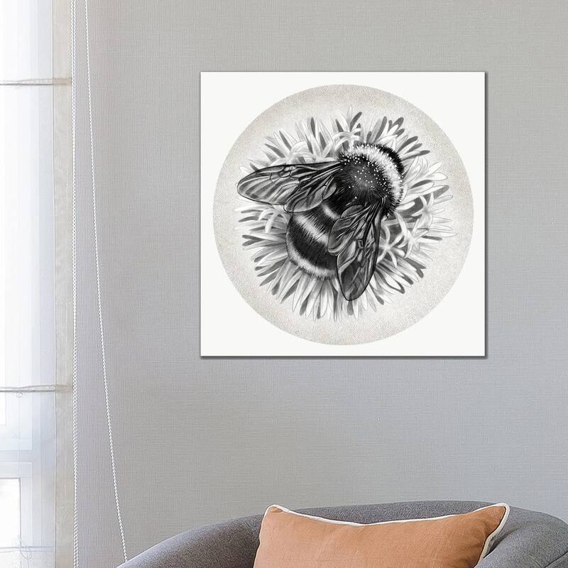 iCanvas "Bee On Cornflower In Pencil" by Vicki Hunt Canvas Print - 26x26x1.5