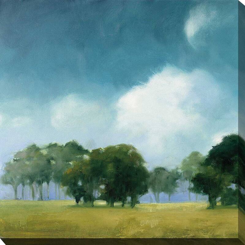 "Cloud Dance I" Print on Canvas