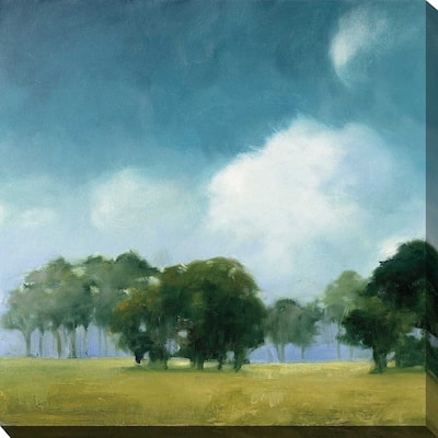 "Cloud Dance I" Print on Canvas